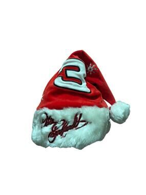 Vintage 2005 DALE EARNHARDT SR #3 Christmas Santa Hat • Brand New • Dead Stock